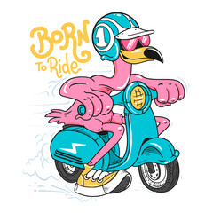 Funny Flamingo Rider Born to Ride Cartoon Illustration, Pink Biker Bird on Scooter