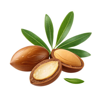 Argan Nut with Leaves High-Resolution 3D Render, Isolated on Transparent Background, Argan oil, natural, organic