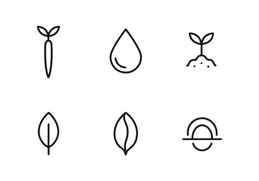 vector outline icons Mangrove (seedling): propagule shoot water droplet mud sprig leaf bud seed husk reflection arc.