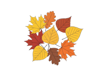 A cluster of vibrant autumn leaves in warm hues of orange, red, and yellow, arranged against a striking black backdrop, creating a visually appealing design.