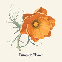 Flat pumpkin flower vector illustration