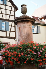 Riquewihr - maisons colorées en Alsace - France