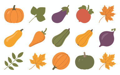 Flat pumpkin food and  leaves vector illustration