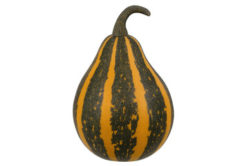 Decorative gourd with orange and dark stripes on transparent background