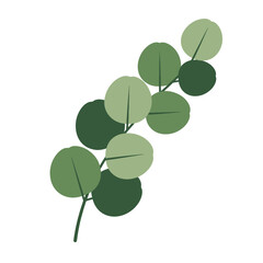 Obraz premium Eucalyptus Branch Logo: A Simple Illustration of a Eucalyptus Branch with Round Leaves, Symbolizing Nature, Purity, and Organic Products.