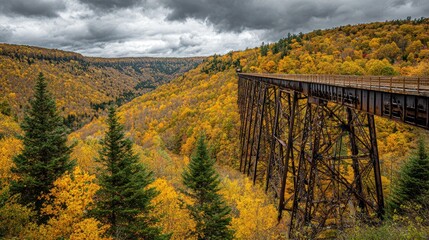 Rusty railway bridge spanning a valley in autumn foliage.