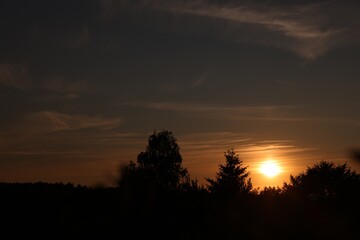 Picturesque view of trees under beautiful sky at sunset