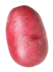 One whole red potato isolated on white