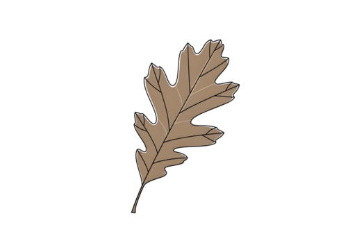 A simple, outlined illustration of a brown oak leaf against a black background.