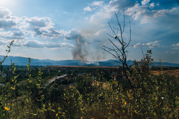 A tree is standing in a field with smoke in the background. The sky is blue with clouds