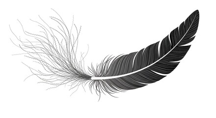 A single black feather with a fluffy, wispy end, isolated on a white background, symbolizing lightness and flight
