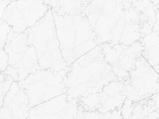 Elegant white marble with soft gray lines, providing a sophisticated backdrop.