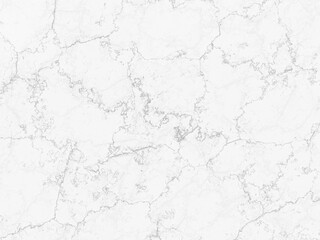 Clean white marble with subtle gray veins for a refined and minimalistic look.