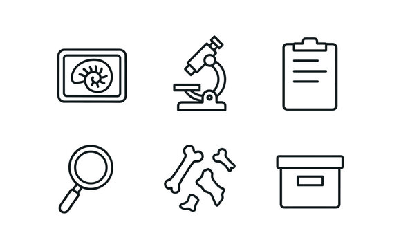 vector outline icons paleontologist (lab study): fossil on tray microscope notes magnifying glass bone fragments storage box.