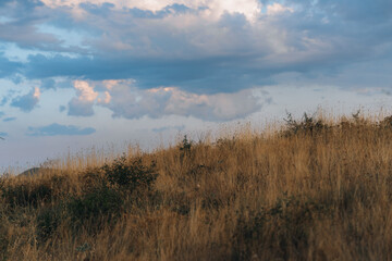 Obraz premium A field of tall grass with a cloudy sky in the background. The sky is a mix of blue and white clouds, giving the scene a somewhat moody and serene atmosphere