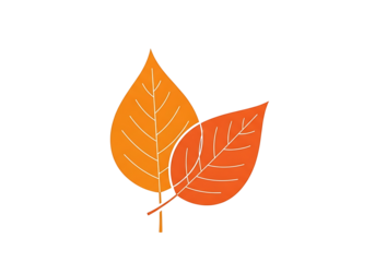 Two vibrant autumn leaves, orange and red, display a simple, elegant design against a dark backdrop.