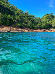 Brazilian beach - tropical paradise (Ilha das Couves)