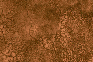 Old wall texture cement dark black brown background abstract grey color design are light with white gradient background.