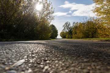 a road and trees growing along the edges in the autumn season, a beautiful bright landscape with a...