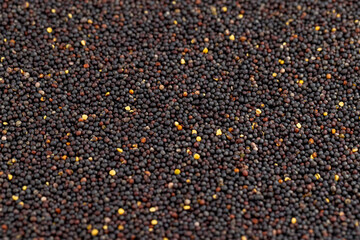 a large number of black rapeseed seeds are used to produce rapeseed oil, black rapeseed is used to produce food products