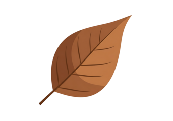 A simple, autumnal illustration of a dried leaf against a stark black background.