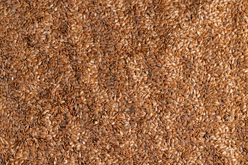 flax seeds for close-up sowing, a large number of light brown flax seeds for a new crop or germination for nutrition