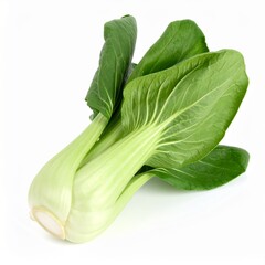 Bok Choy on Isolated White Background &ndash; Crisp Asian Green with White Stem and Dark Leaves Under Studio Light
