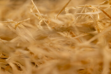 yellow sawdust from wood for decorative and creative work of artisans or gift wrapping