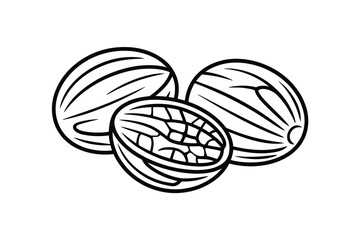 Cocoa beans vector illustration in black and white outline style