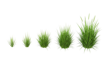 Five clumps of grass isolated on transparent background