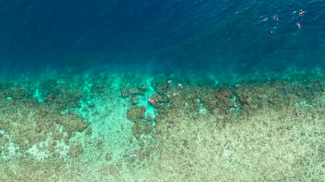 Aerial view of people swimming and snorkeling over a vibrant coral reef in clear turquoise ocean water, with outrigger boats, Moalboal, Cebu.