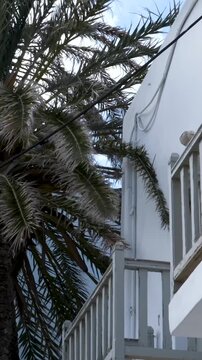 Experience Mykonos Greece stunning, with iconic white buildings and domes against the beautiful Aegean Sea, making its perfect destination for lovers of scenic beauty and exploration.
