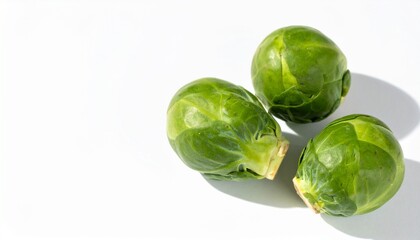 Brussels Sprouts on Isolated White Background &ndash; Mini Cabbages with Compact Heads and Soft Shadow Effect