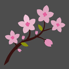 Flat Cherry Blossom Branch Vector for Japanese Theme
