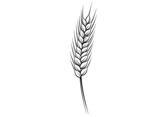A detailed, stylized representation of a wheat ear is presented against a solid black backdrop.