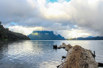A tranquil tropical lake surrounded by forested mountains and dramatic clouds, with natural driftwood in the foreground and still water reflection