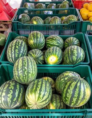 fresh watermelons on the market