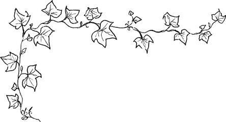 Fototapeta premium Hand drawn ivy vine corner design for creative projects or decor