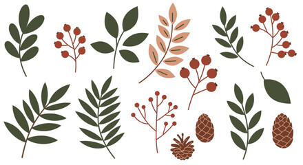 Collection of Autumnal Foliage Berries and Pinecones in a Variety of Styles and Colors Evoking the Fall Season