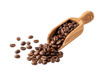 Rich dark roasted coffee beans poured from a wooden scoop across a deep onyx surface transparent background