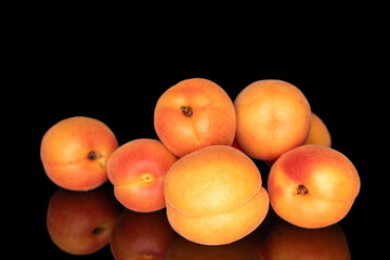 Ripe organic apricots isolated on black background, macro.