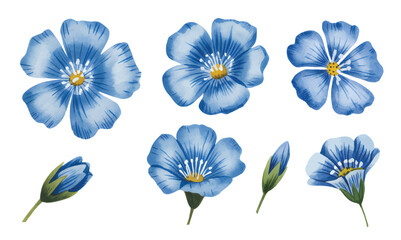 Watercolor blue floral collection with blossoms, buds, and botanical illustration.