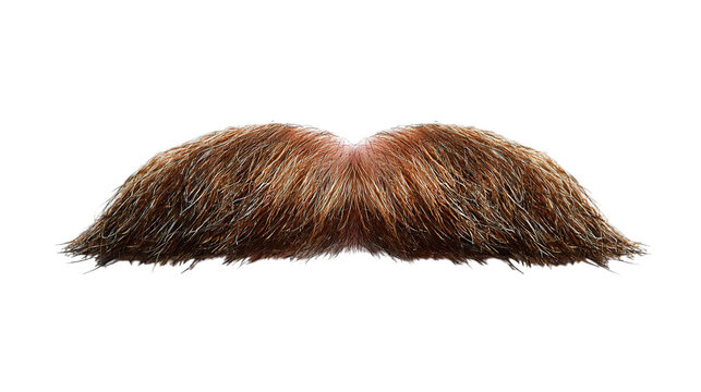 A fluffy, vintage-style mustache in shades of brown, perfect for adding character to any costume or playful design., transparent png, cutout