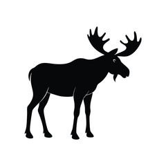 moose, antler, wildlife, forest, animal, nature, mammal, biggame, wild, outdoors, northern, creature,