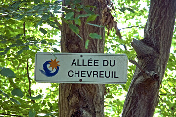 Foret régional de Gros Bois, l'Arc boisé, 94, Val de Marne, France