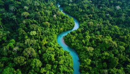 A surreal aerial view of a meandering turquoise river through a dense tropical rainforest, representing untouched nature, eco-tourism, and conservation