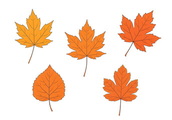 Naklejka premium Vibrant autumnal maple and other leaves illustrated against a striking black background.