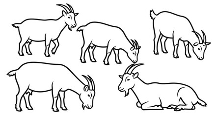 Charming goat collection showcasing various poses for farm or wildlife themes