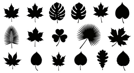 Obraz premium Stunning collection of diverse black leaf silhouettes, perfect for nature designs
