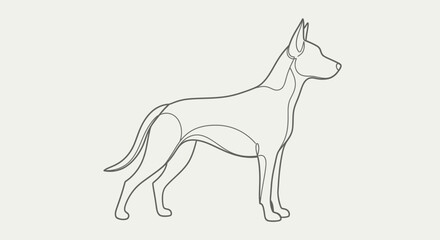 Elegant single line art depiction of a sleek, athletic dog standing alertly against a clean background.